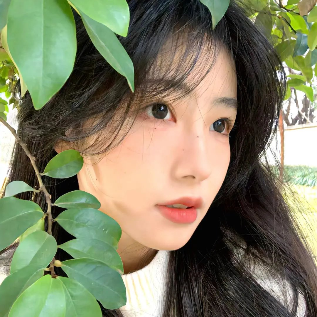 风流寡妇