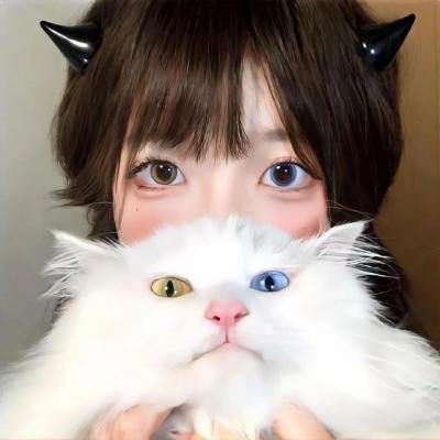 小马王自由奔驰