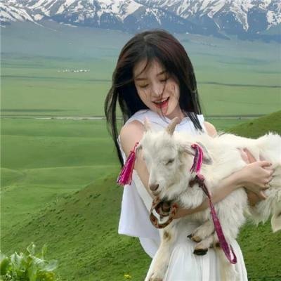 挪亚：灭世启示